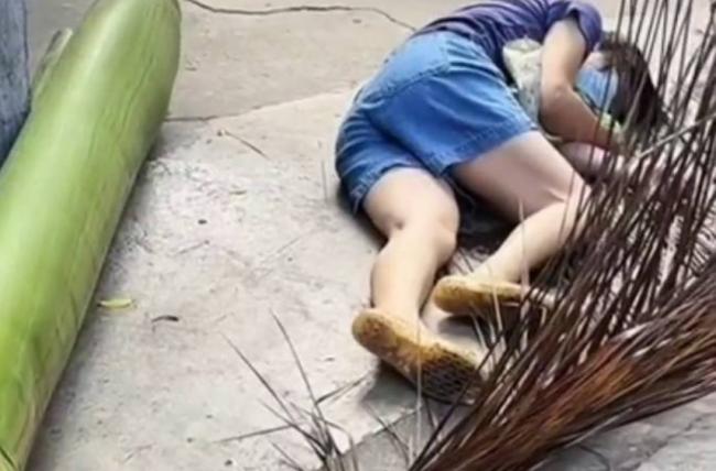 珠海女散步遭椰叶砸至十级伤残 法院判赔4万余元 珠海女散步遭椰叶砸至十级伤残 法院判赔4万余元