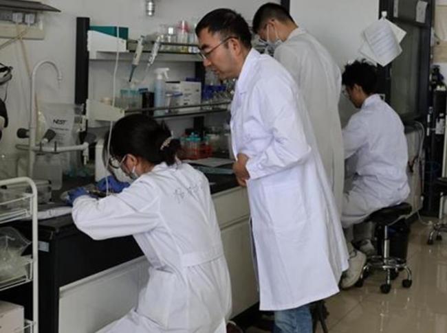 让机器人钻进血管治病 梦想成真 让机器人钻进血管治病 梦想成真