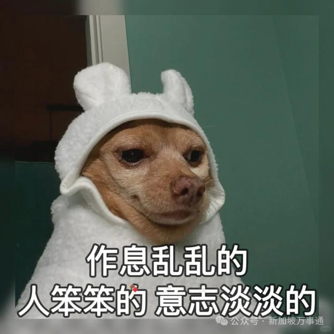 新加坡人均有效生命远超中国 这些数据令人震撼 新加坡人均有效生命远超中国 这些数据令人震撼