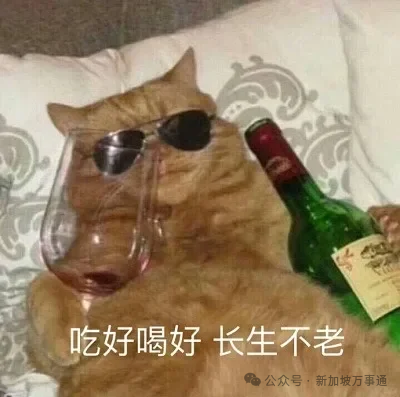 新加坡人均有效生命远超中国 这些数据令人震撼 新加坡人均有效生命远超中国 这些数据令人震撼