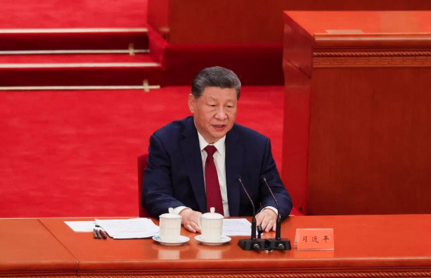 一个掌握了国家政权的帮会组织 一个掌握了国家政权的帮会组织