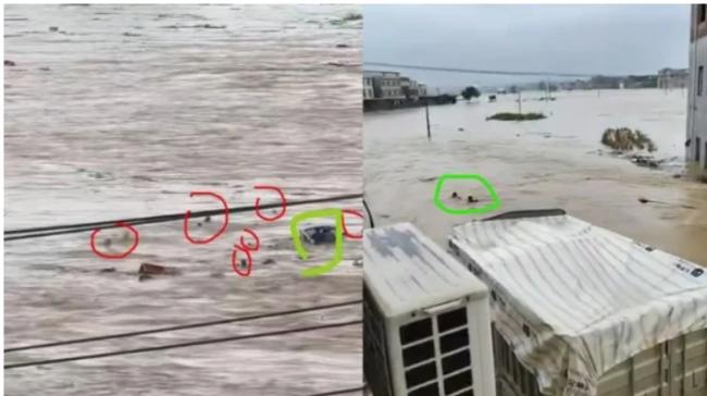 “水里都是人头在动” !广西水灾惨状惊人 “水里都是人头在动” !广西水灾惨状惊人