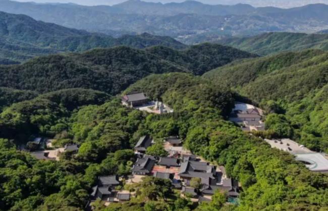 12男12女走进同一座寺院 共有8对成功配对 12男12女走进同一座寺院 共有8对成功配对