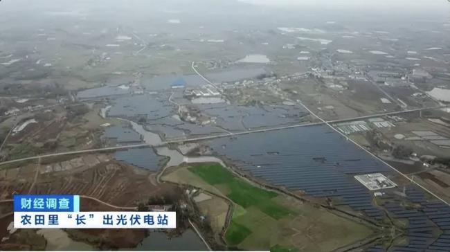 中国陷入光电陷阱?农民怒骂光伏骗局 中国陷入光电陷阱?农民怒骂光伏骗局