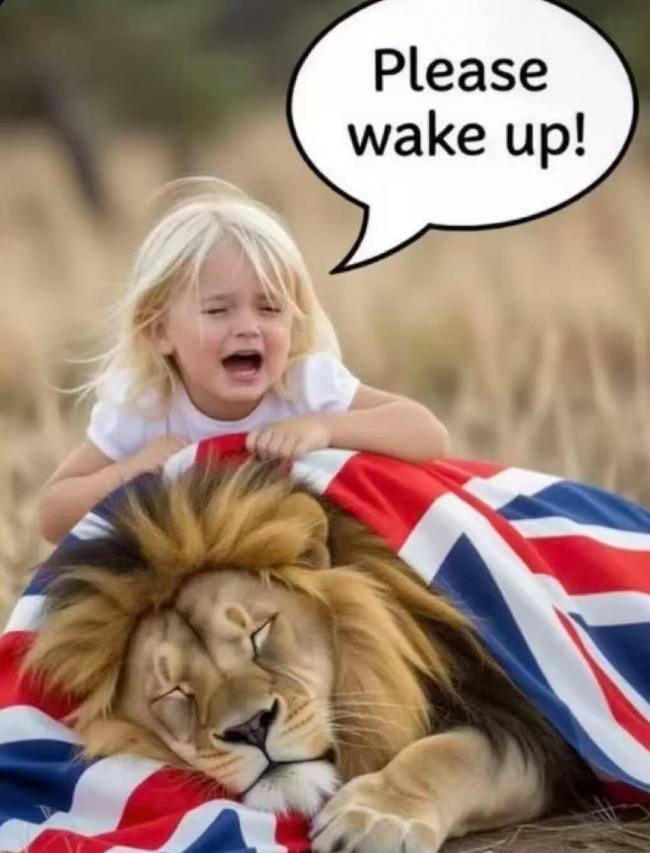 新首相伯纳姆,不就是英国版的曼达尼吗 新首相伯纳姆,不就是英国版的曼达尼吗