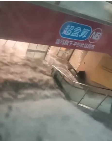 习近平才去就淹大水!上海杨浦区一片汪洋 习近平才去就淹大水!上海杨浦区一片汪洋