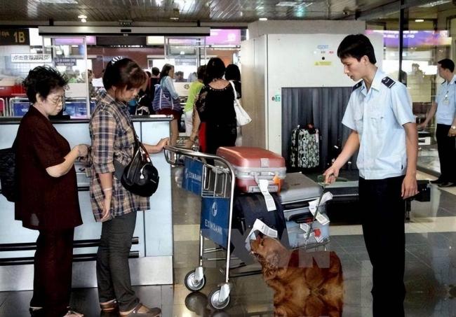 碰见中国人就打?这个国家有多讨厌中国人 碰见中国人就打?这个国家有多讨厌中国人