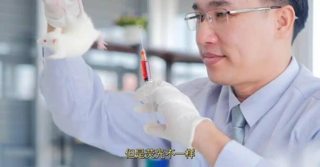 讽刺!被美国赶走的骗子,回国成名校教授 讽刺!被美国赶走的骗子,回国成名校教授