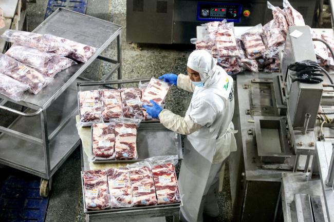 北方越来越绿...中国成牛肉大国 北方越来越绿...中国成牛肉大国