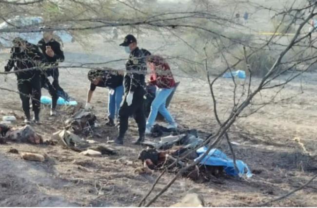 小飞机坠毁!13人全罹难 现场焦黑 仅寻回4遗体 小飞机坠毁!13人全罹难 现场焦黑 仅寻回4遗体