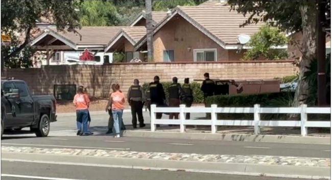 南加住宅区惊见山狮 比成年人还大 南加住宅区惊见山狮 比成年人还大