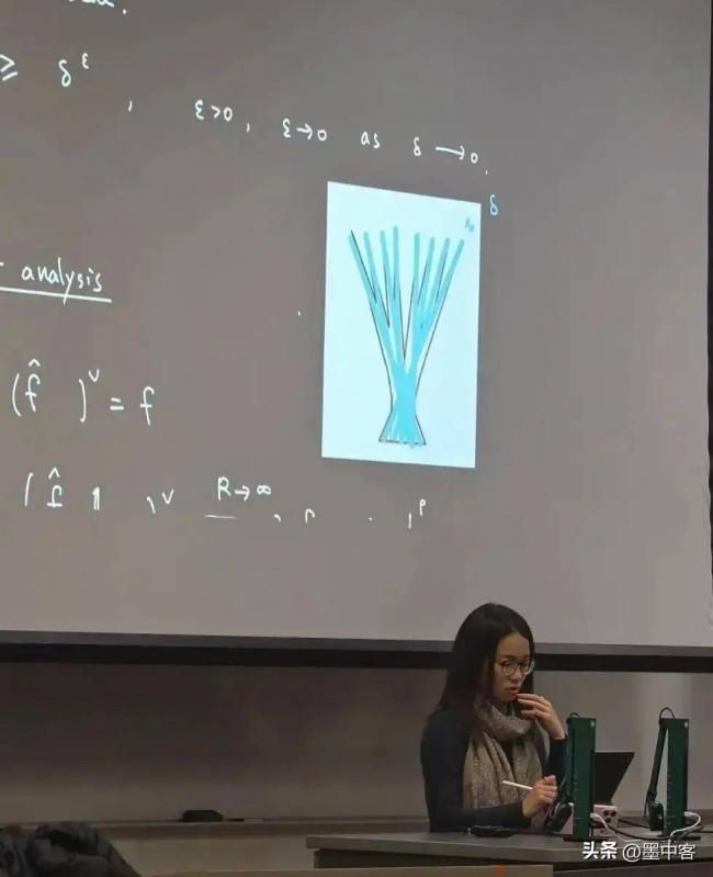勇夺菲尔兹奖仅半月 王虹再迎喜讯 学术圈沉默 勇夺菲尔兹奖仅半月 王虹再迎喜讯 学术圈沉默
