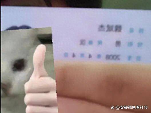 网惊呼:生于4月4日高考444分,被殡葬专业录取 网惊呼:生于4月4日高考444分,被殡葬专业录取