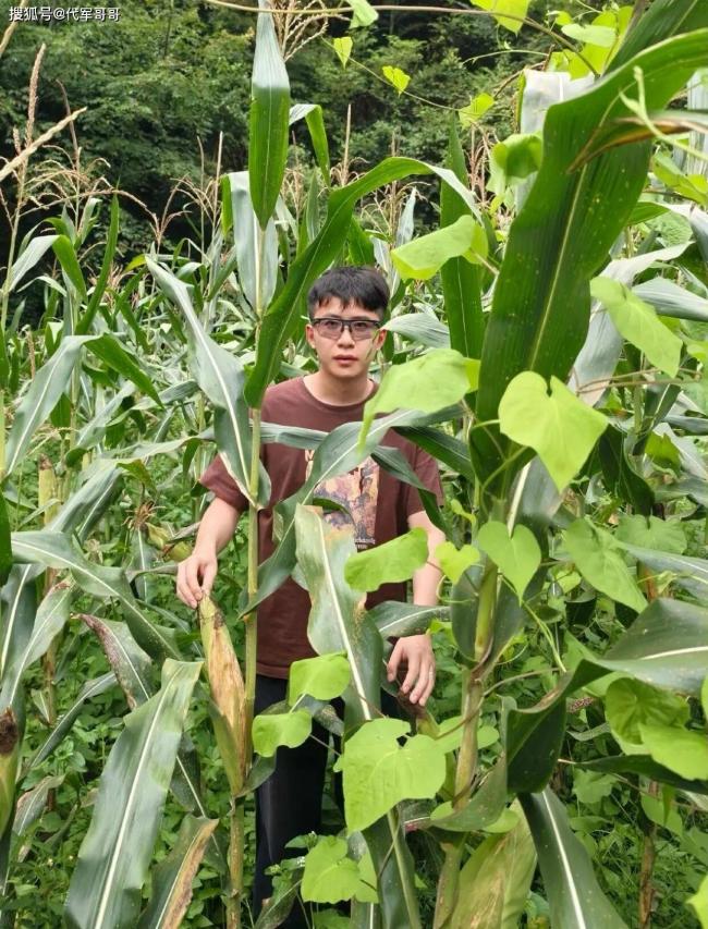 华为天才少年弃百万年薪回老家 真实原因太惋惜 华为天才少年弃百万年薪回老家 真实原因太惋惜