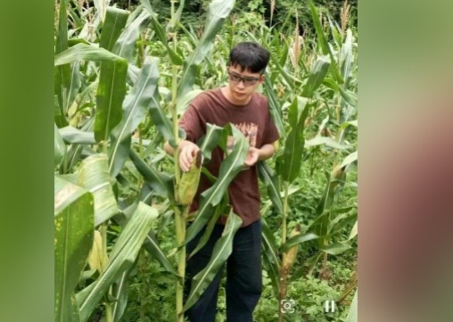 弃百万年薪 华为天才少年回村卖玉米 弃百万年薪 华为天才少年回村卖玉米