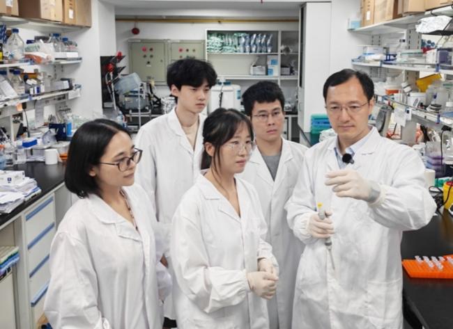 心脏自己会“修路” 上海科学家最新发现 心脏自己会“修路” 上海科学家最新发现