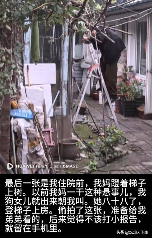 唐师曾多张病房照被公开 催人泪下 唐师曾多张病房照被公开 催人泪下