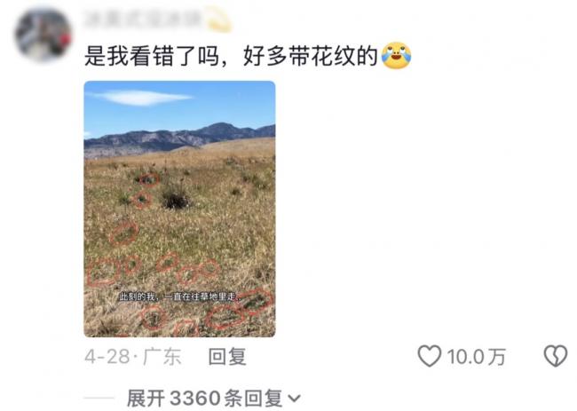 导游行业,没救了? 导游行业,没救了?