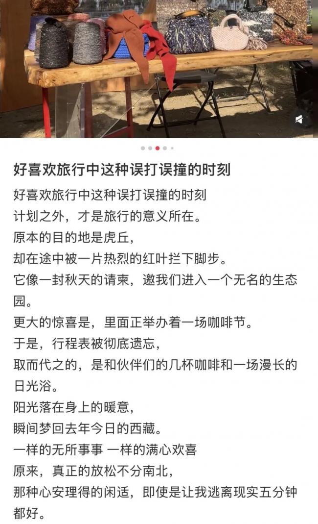 导游行业,没救了? 导游行业,没救了?