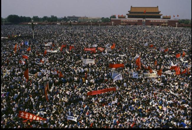你吃瓜时,8部重要法律正在悄悄改变中国 你吃瓜时,8部重要法律正在悄悄改变中国