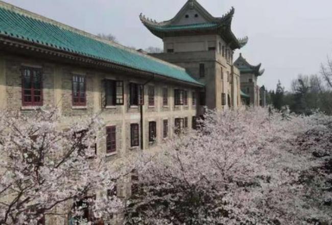 武大教授的女儿实名举报父亲权色交易 武大教授的女儿实名举报父亲权色交易