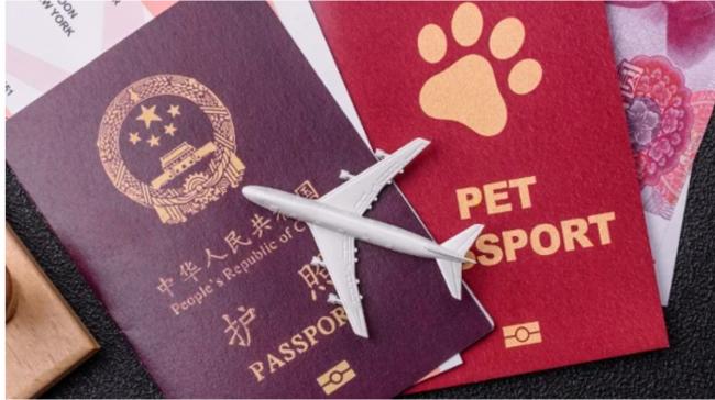 中国公务员为拿回护照,用上这绝招成功实现 中国公务员为拿回护照,用上这绝招成功实现