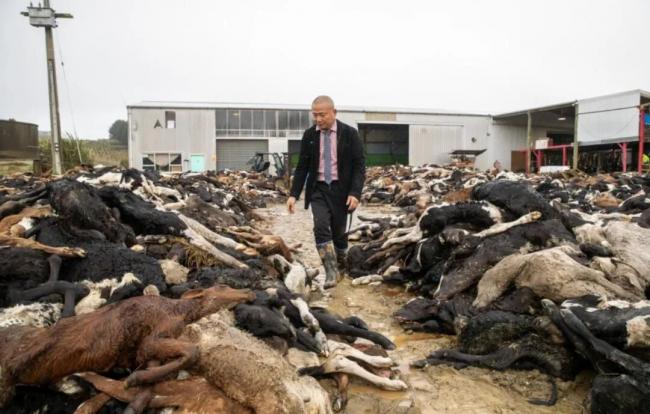 华人老板当街脱衣 跪地磕头“求放过” 华人老板当街脱衣 跪地磕头“求放过”