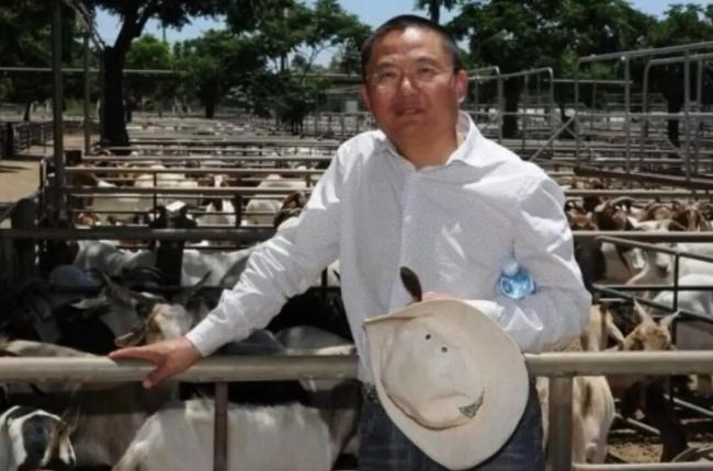 华人老板当街脱衣 跪地磕头“求放过” 华人老板当街脱衣 跪地磕头“求放过”