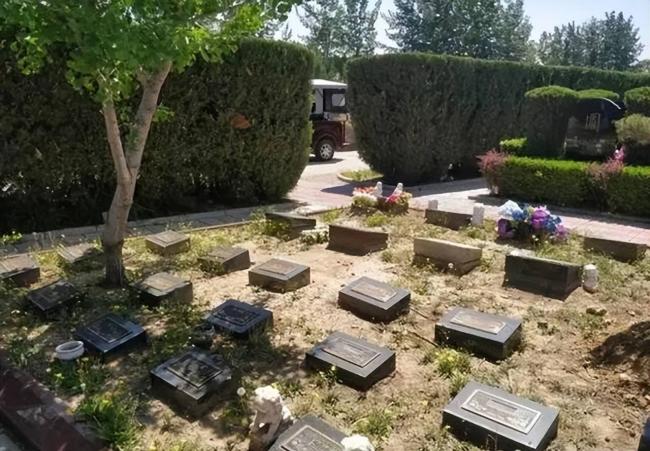 殡葬业寒冬将至?并不是因为死亡少了... 殡葬业寒冬将至?并不是因为死亡少了...