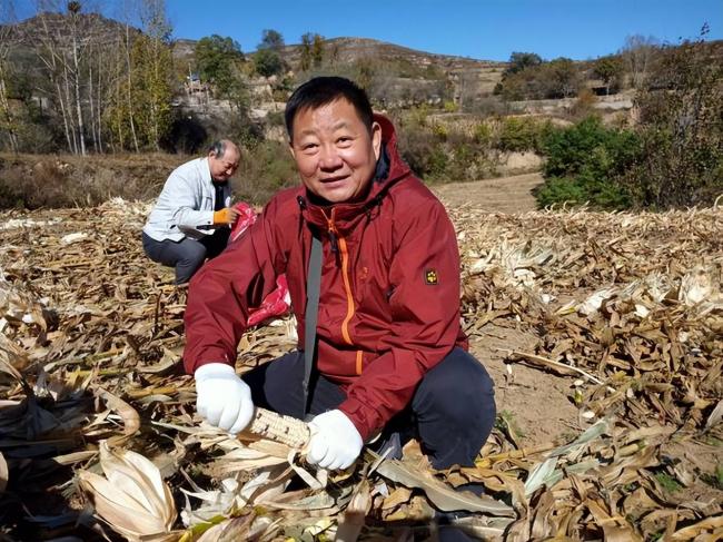 四川小伙赴内蒙捡土豆 工资到账他当场看呆 四川小伙赴内蒙捡土豆 工资到账他当场看呆