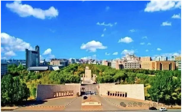 中国唯一被办学规模拖垮的985大学,现状唏嘘 中国唯一被办学规模拖垮的985大学,现状唏嘘