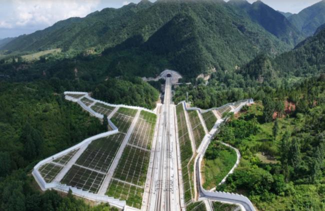 小伙坐高铁往返1200公里代买奶茶 跑腿费1000元 小伙坐高铁往返1200公里代买奶茶 跑腿费1000元