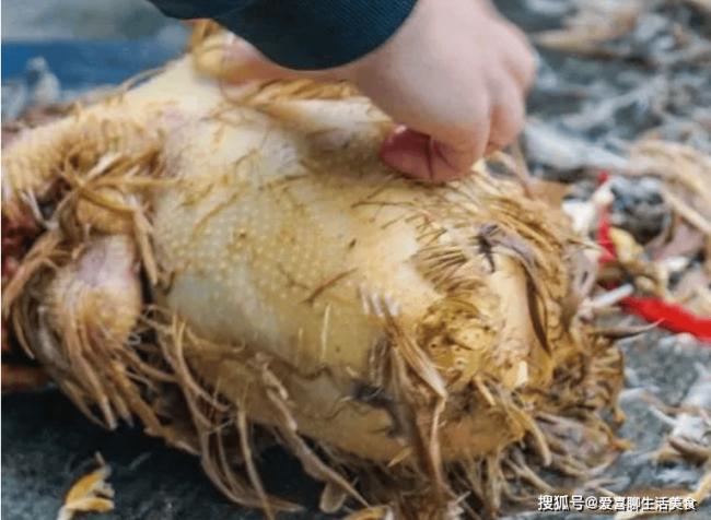 国庆出游吃“农家乐”,结账时傻眼了 国庆出游吃“农家乐”,结账时傻眼了