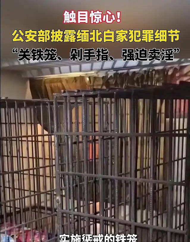 比明珍珍狠毒!缅北两大女魔头至今在逃 比明珍珍狠毒!缅北两大女魔头至今在逃