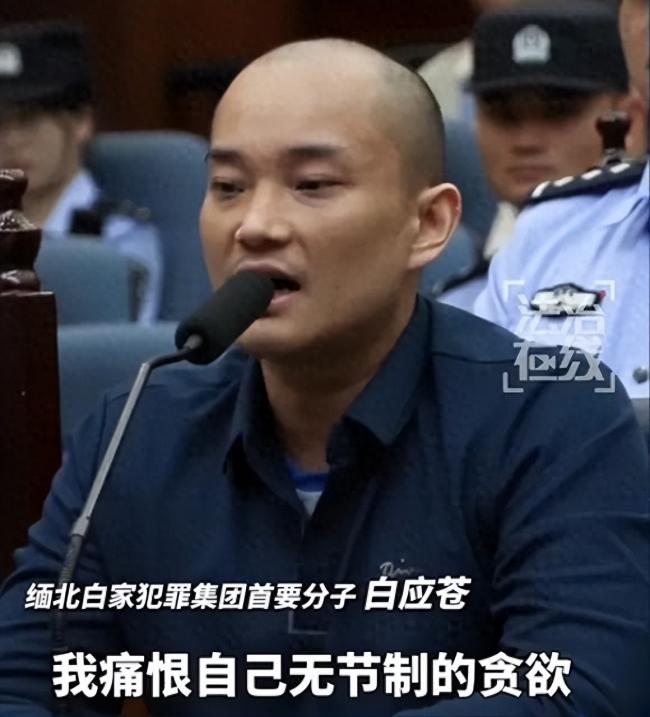 原来她就是白应苍的枕边人,网曝现状 原来她就是白应苍的枕边人,网曝现状