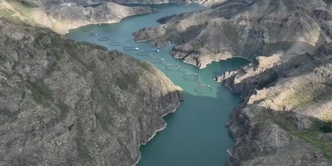 你吃的海鲜背后:水产养殖业的肮脏秘密 你吃的海鲜背后:水产养殖业的肮脏秘密