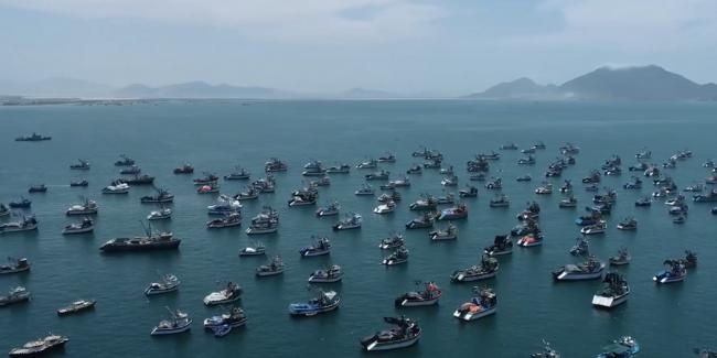 你吃的海鲜背后:水产养殖业的肮脏秘密 你吃的海鲜背后:水产养殖业的肮脏秘密