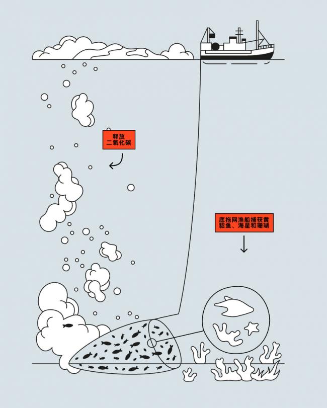 你吃的海鲜背后:水产养殖业的肮脏秘密 你吃的海鲜背后:水产养殖业的肮脏秘密