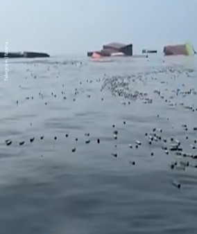 “海面飘满iPhone”画面曝光 渔民嗨翻狂捞 “海面飘满iPhone”画面曝光 渔民嗨翻狂捞