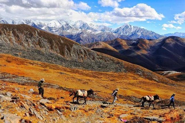 21岁男子高原丧生!姐姐不愿掏钱错过生还良机 21岁男子高原丧生!姐姐不愿掏钱错过生还良机