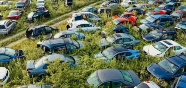 129个中国新能源车,正被外媒判死刑 129个中国新能源车,正被外媒判死刑