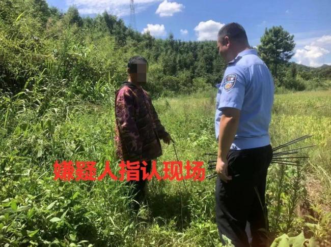 胆大包天!贩卖“野味” 护林员布 980 米电网 胆大包天!贩卖“野味” 护林员布 980 米电网