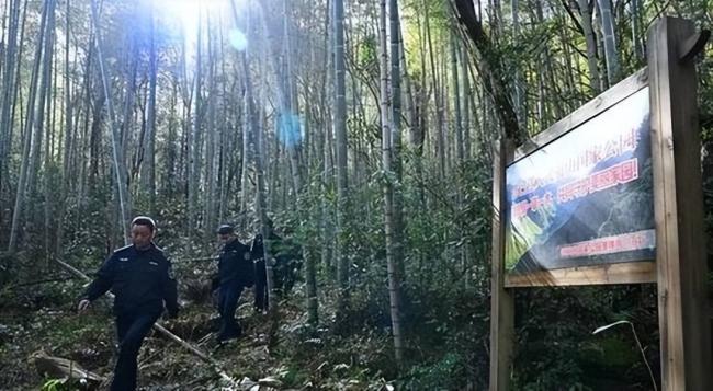胆大包天!贩卖“野味” 护林员布 980 米电网 胆大包天!贩卖“野味” 护林员布 980 米电网